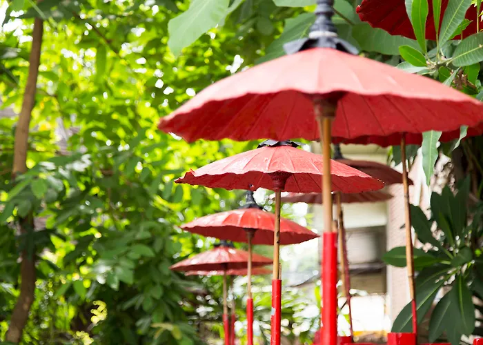 Le Meridien Chiang Mai - SHA Extra Plus